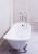Чугунная ванна Goldman Bristol 170*76*50*55, на "орлиных когтях", в комплекте с сифоном и ножками в Крымске